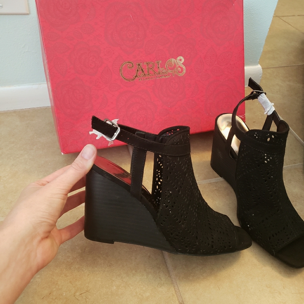 Carlos Santana Wedges